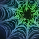 Spin Web
