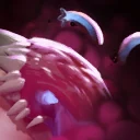 Rot